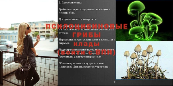 мет Михайлов