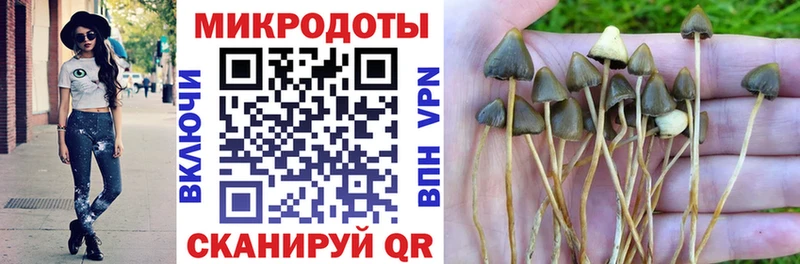 Галлюциногенные грибы мицелий  Альметьевск 